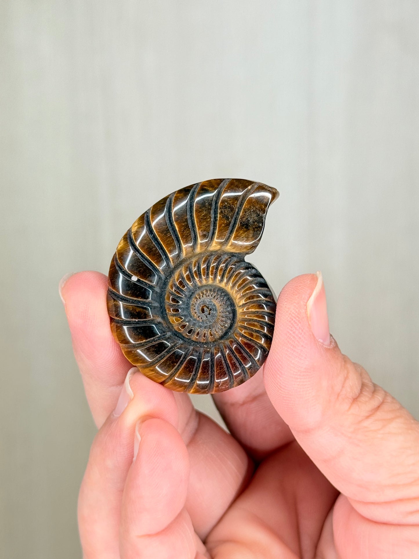 Golden Tiger Eye Fossil Carving (Small) – Mystical Crystal for Protection & Strength - Auralis Crystals