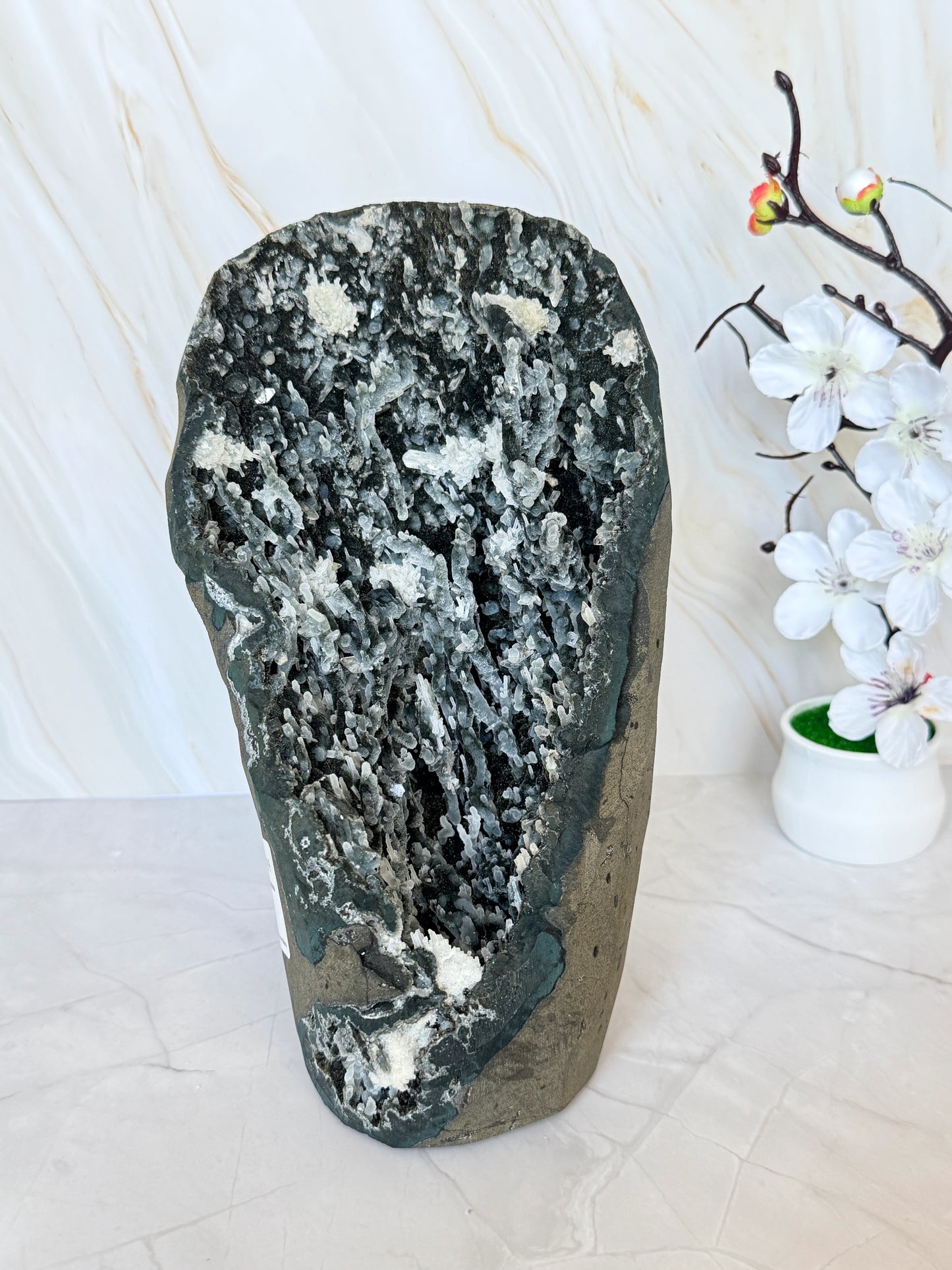 Black Chalcedony Geode with White Prehnite & Apophyllite Crystal Growths | Large Rare Specimen