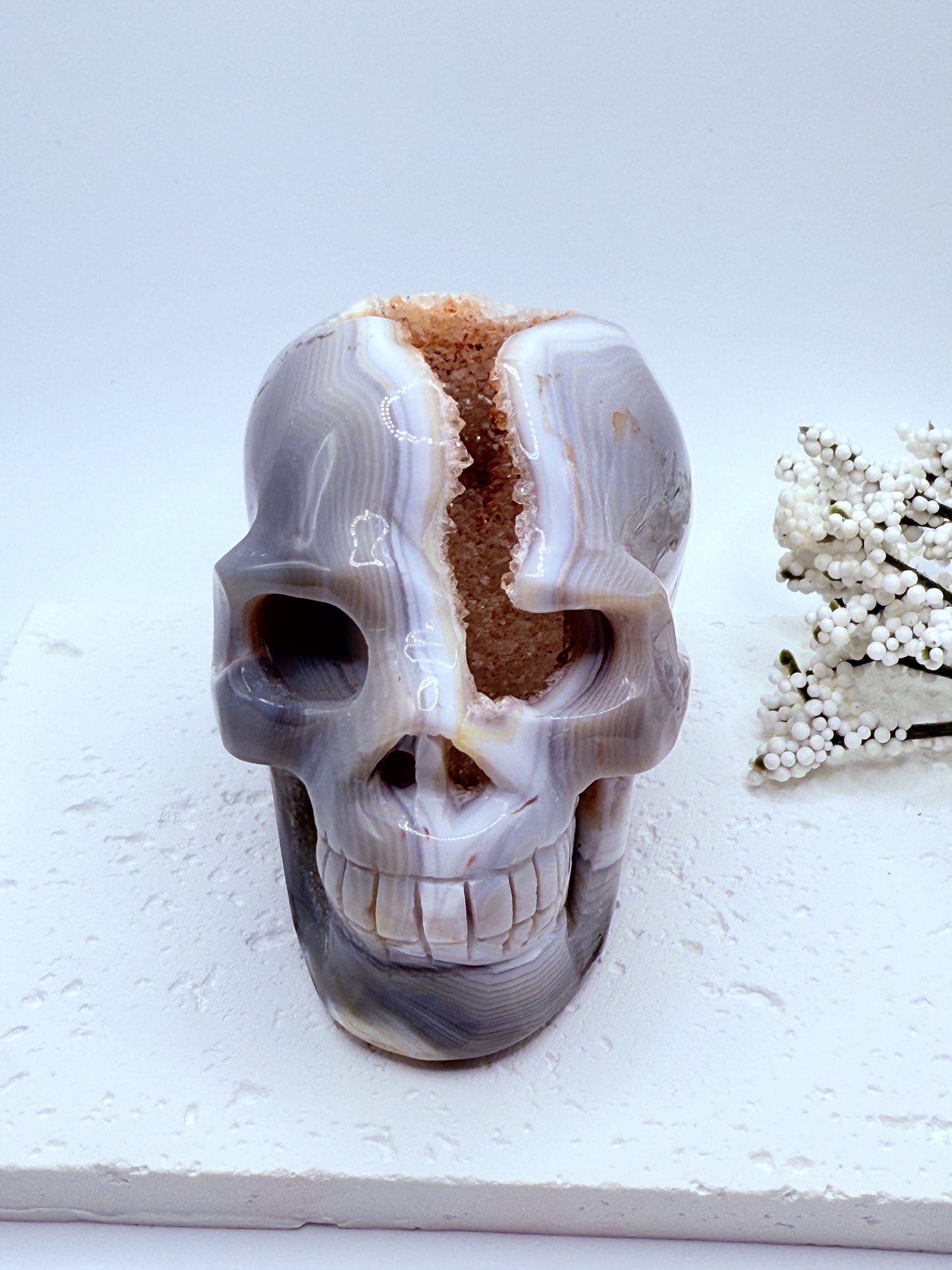 Hand Carved Gray Agate Skull Carving with Druzy