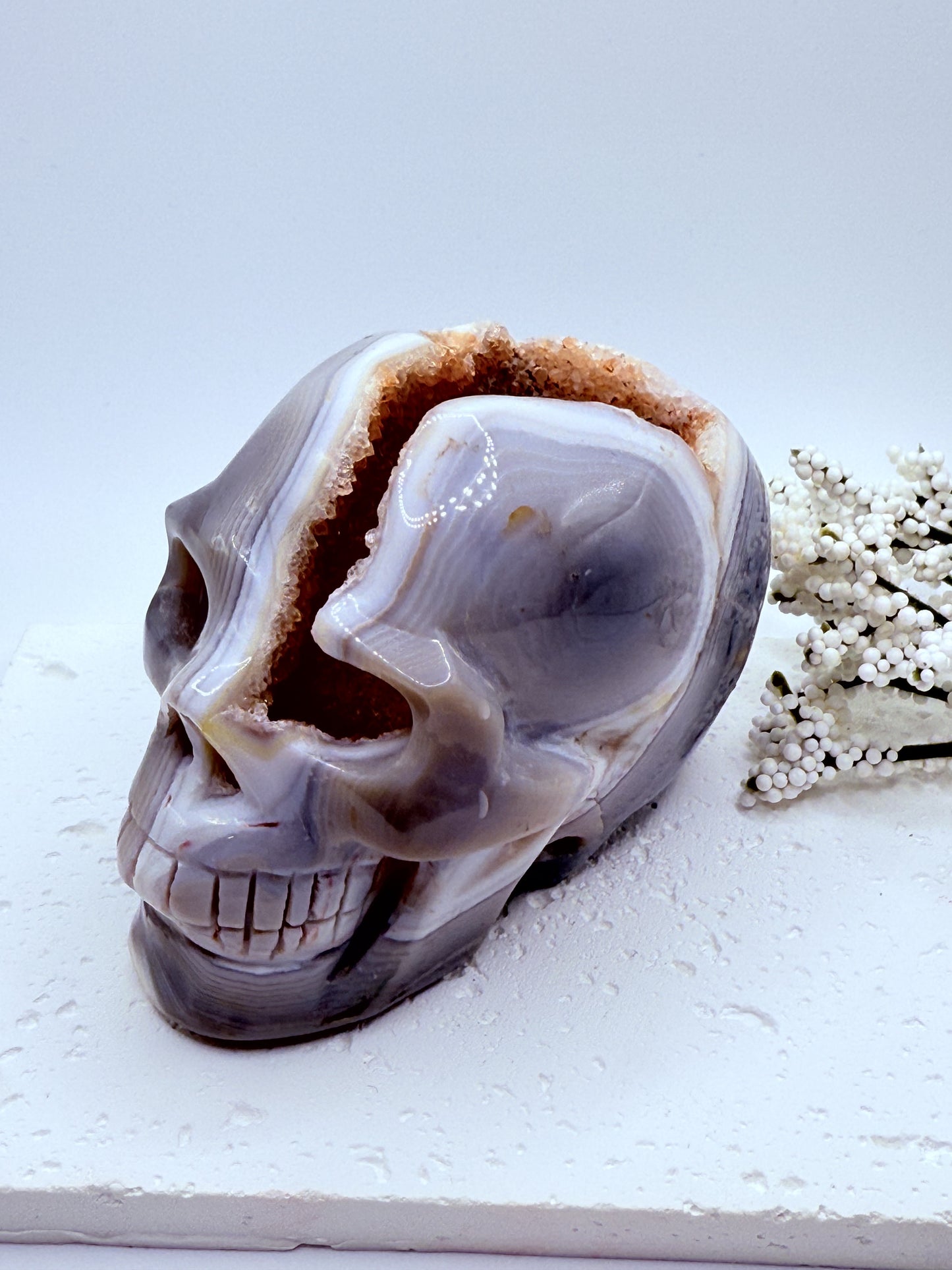 Hand Carved Gray Agate Skull Carving with Druzy