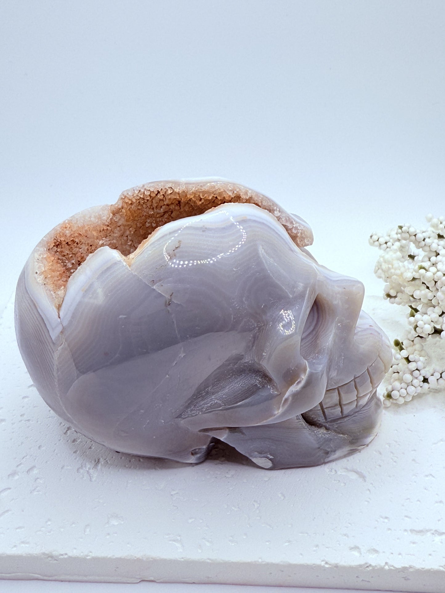Hand Carved Gray Agate Skull Carving with Druzy