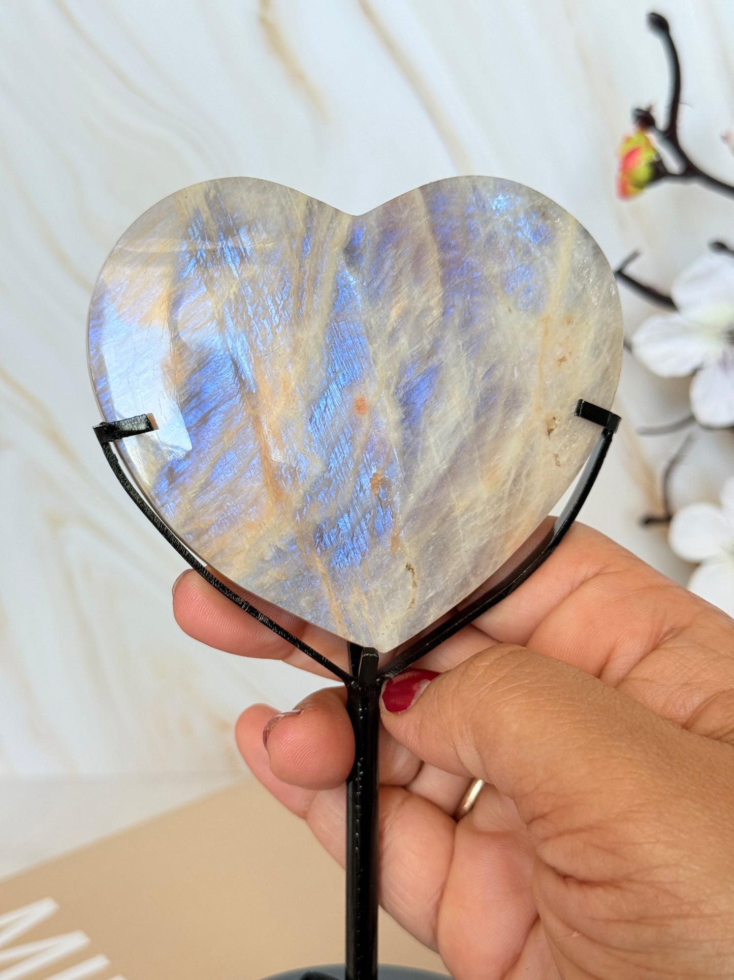 Flashy Moonstone Heart Display | Blue Adularescence | Tanzania | Intuition & Magic