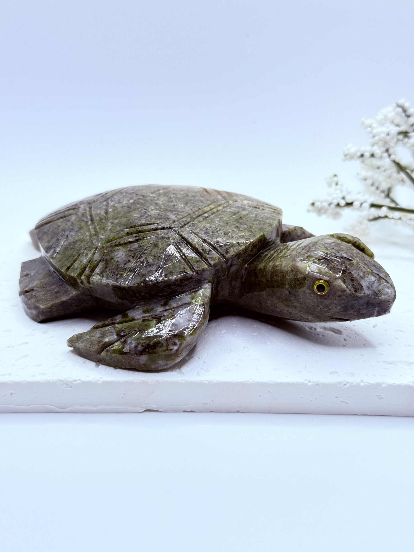 Jasper Turtle Carving – Patience, Protection & Earth Energy