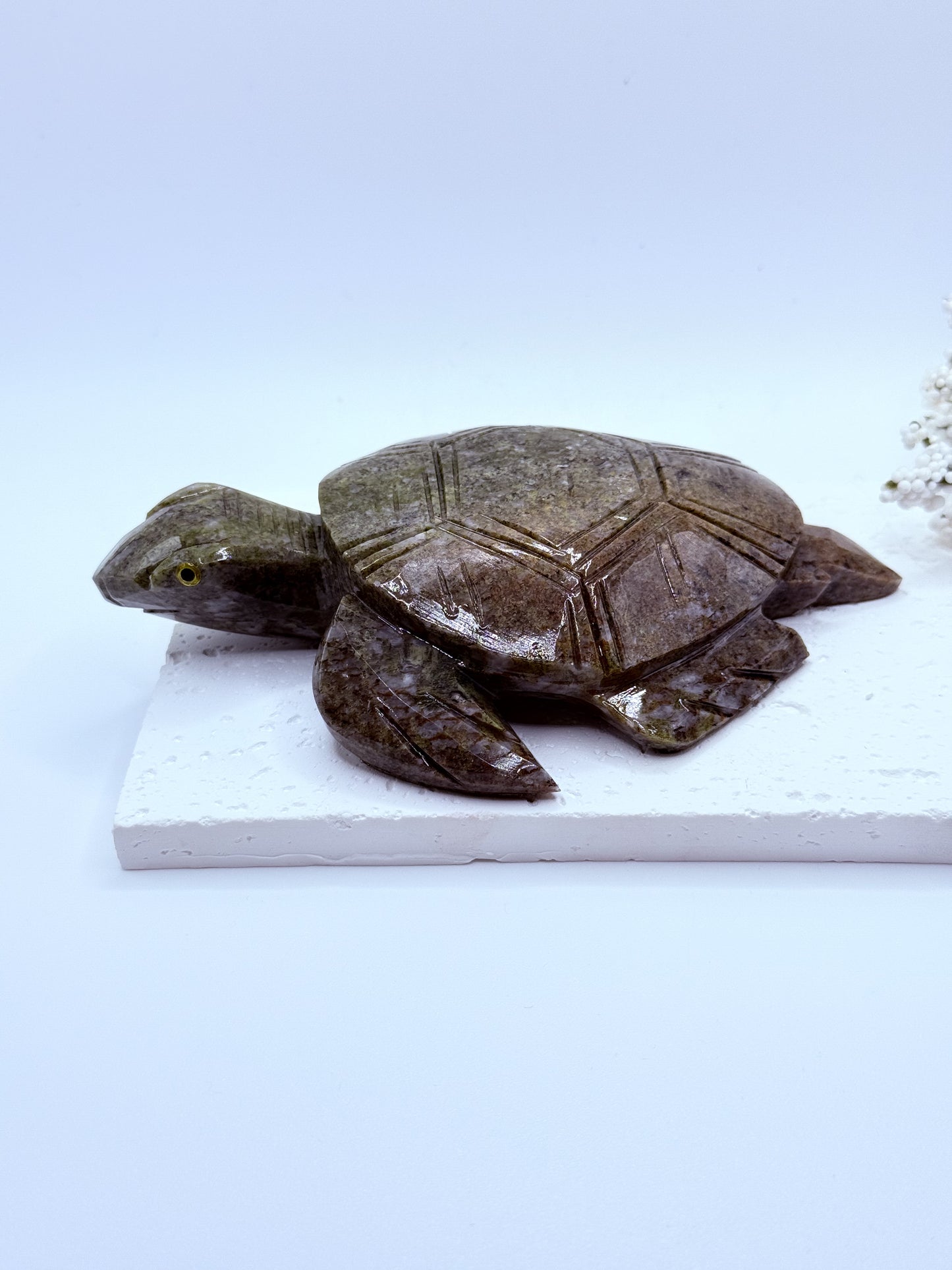 Jasper Turtle Carving – Patience, Protection & Earth Energy