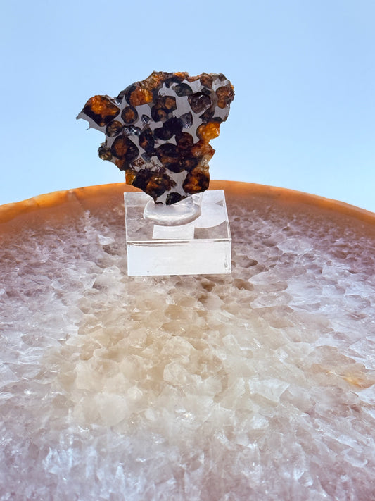 Pallasite Slice Specimen