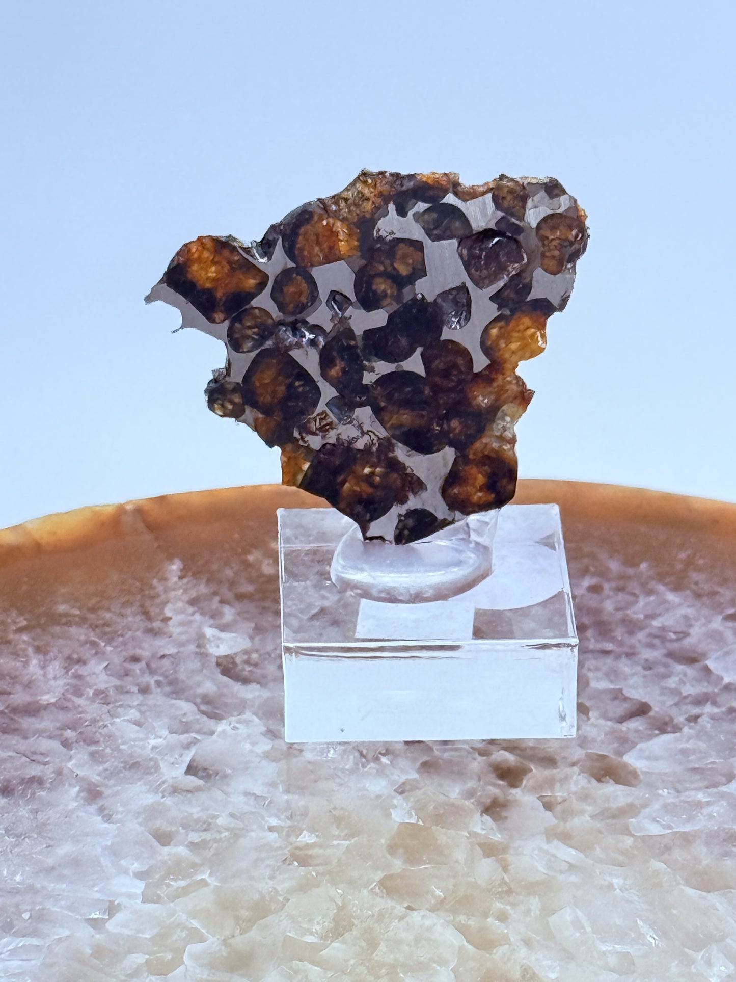 Pallasite Slice Specimen