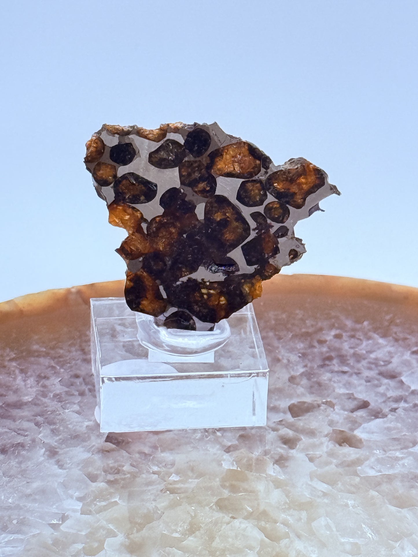 Pallasite Slice Specimen