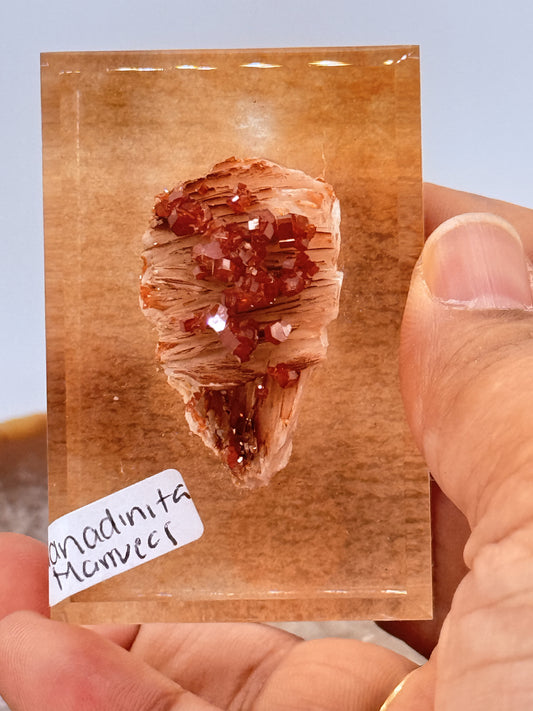 Vivandinite Specimen