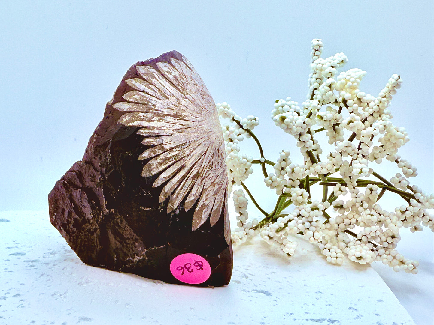 Chrysanthemum Stone Raw Specimen