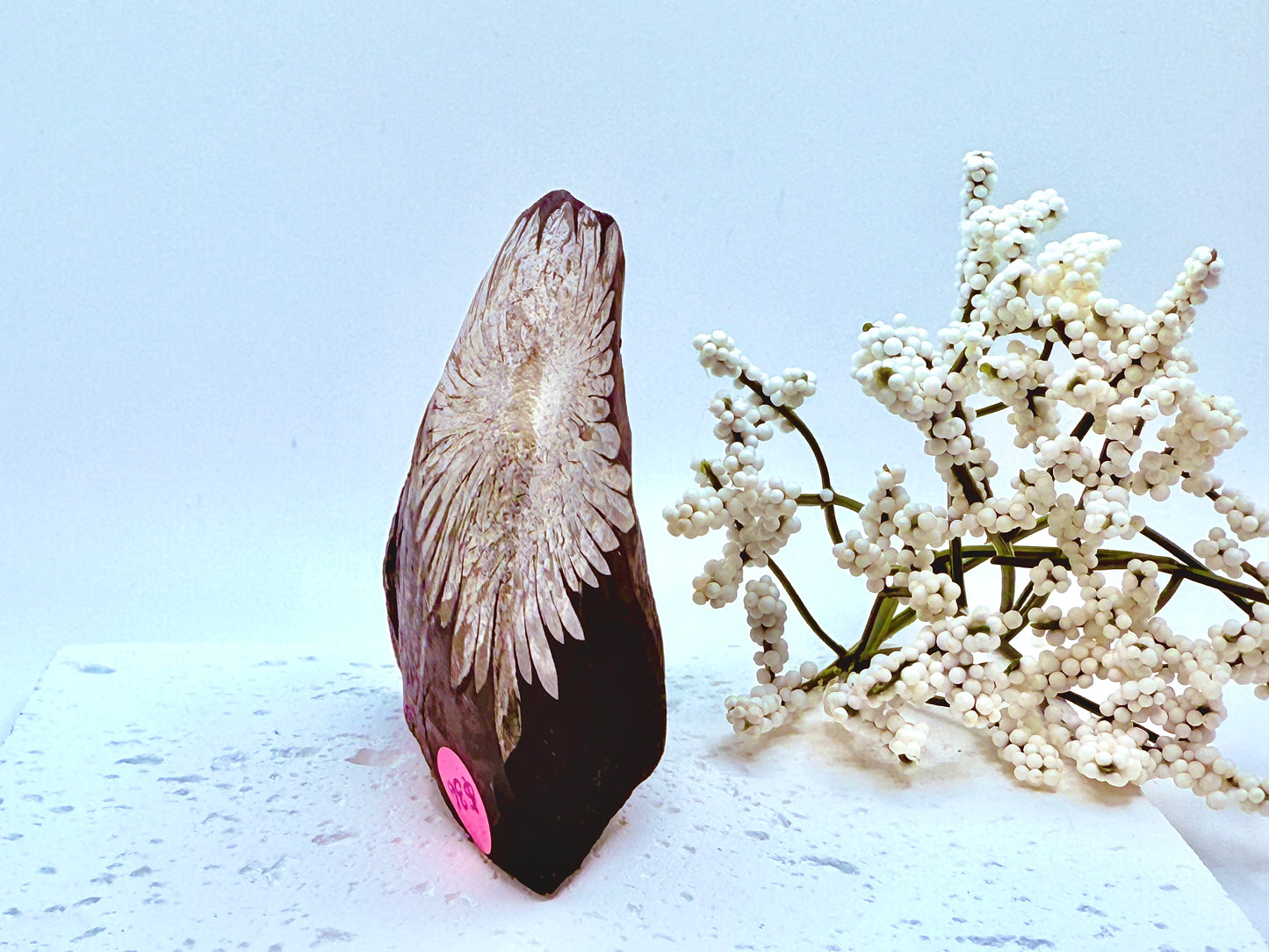 Chrysanthemum Stone Raw Specimen