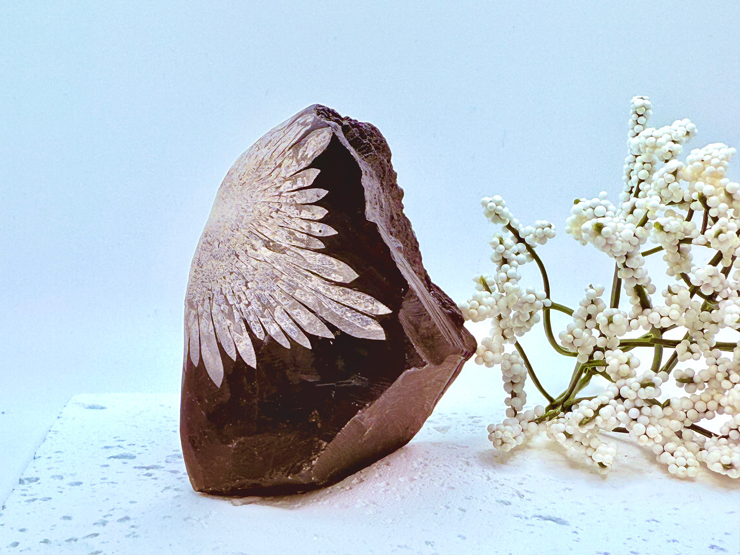 Chrysanthemum Stone Raw Specimen