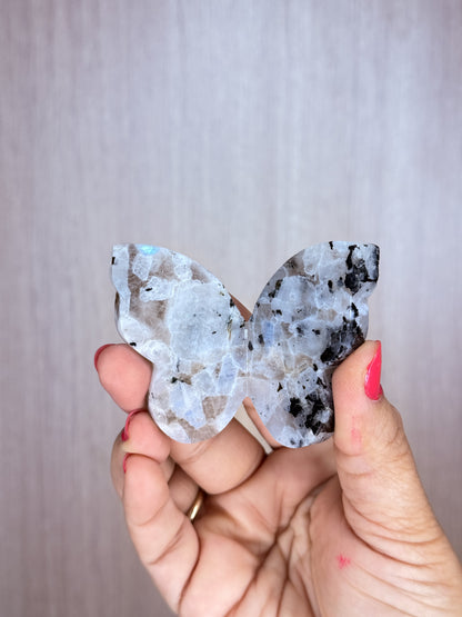 Crystal 3D Butterfly Carvings – Sodalite, Pyrite, Moss Agate, Prehnite, Tanzania Moonstone & Rainbow Moonstone