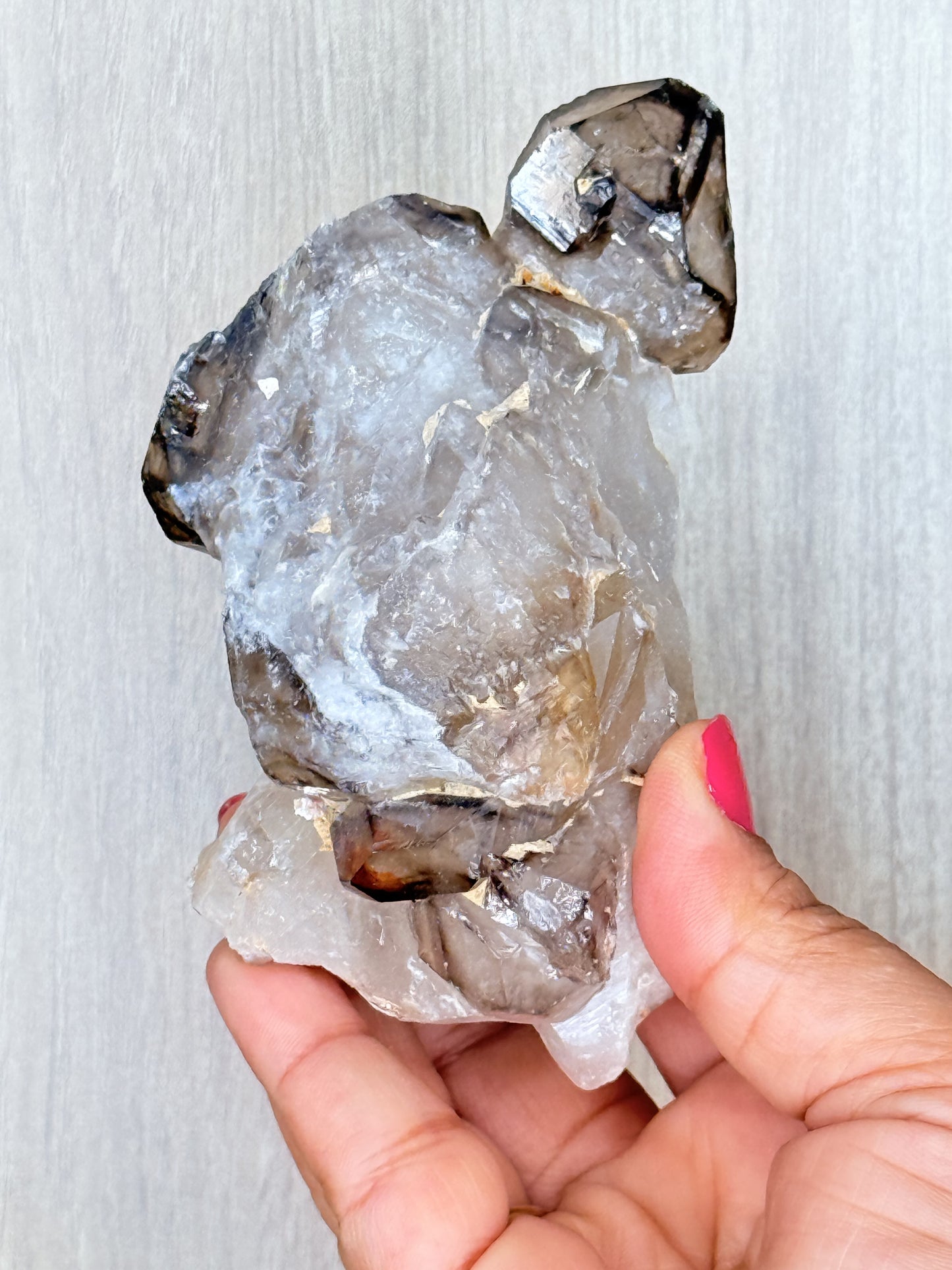 Whispering Shadows – Elestial Smoky Quartz Cluster