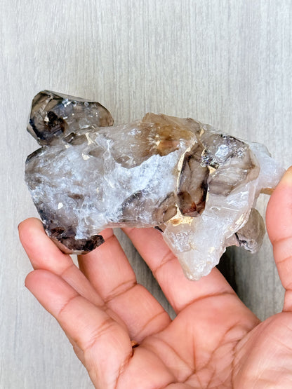 Whispering Shadows – Elestial Smoky Quartz Cluster