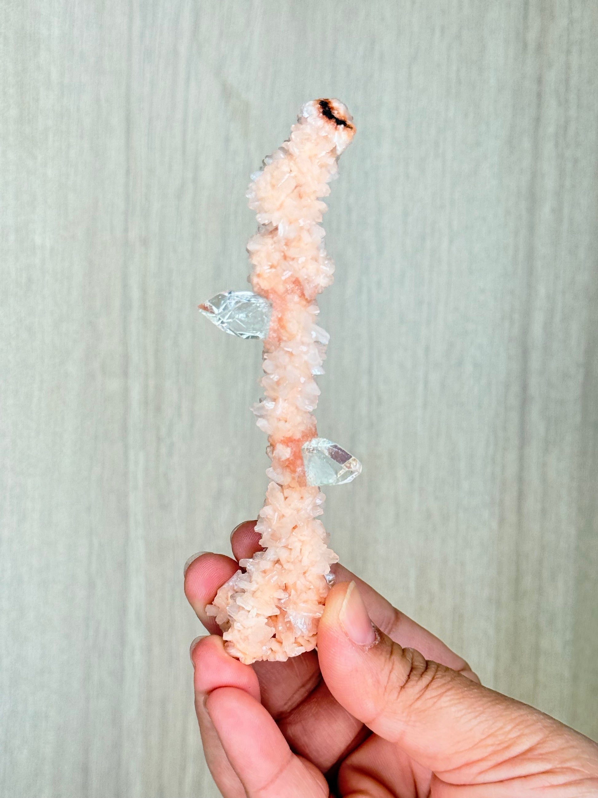 🍑Peach Heulandite Stalactites with Green Apophyllite – Rare Zeolite Specimen from Maharashtra, India - Auralis Crystals