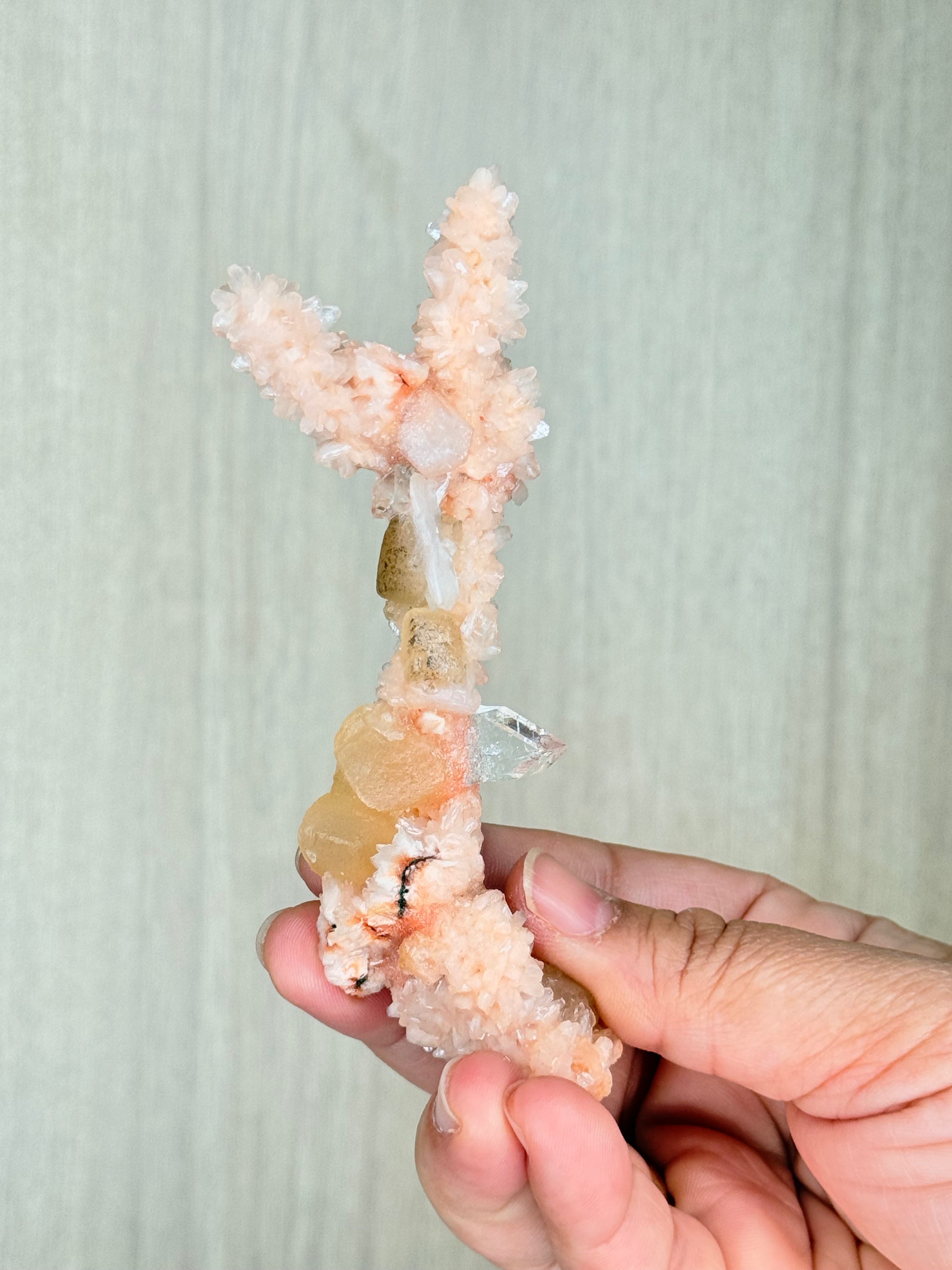 🍑Peach Heulandite Stalactites with Green Apophyllite – Rare Zeolite Specimen from Maharashtra, India - Auralis Crystals