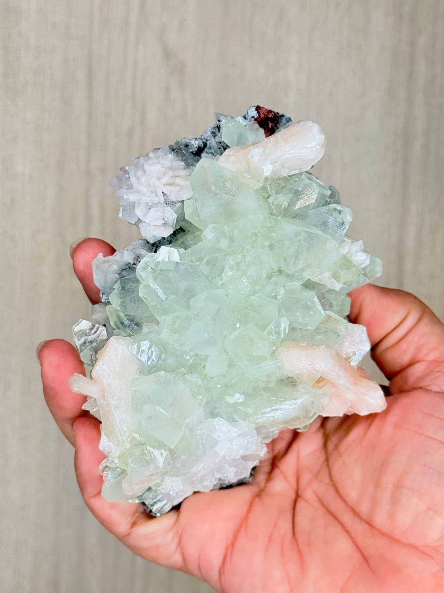 Apophyllite with Stilbite Crystal Specimen – Maharashtra, India | Luminous Zeolite Mineral Cluster - Auralis Crystals