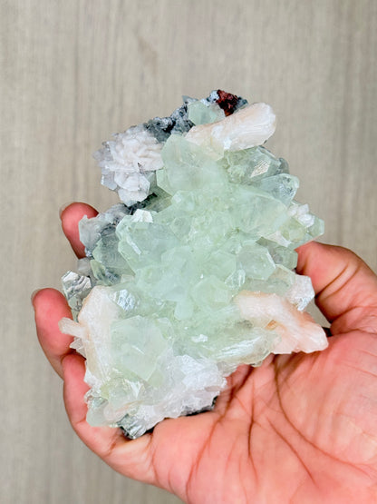 Apophyllite with Stilbite Crystal Specimen – Maharashtra, India | Luminous Zeolite Mineral Cluster - Auralis Crystals