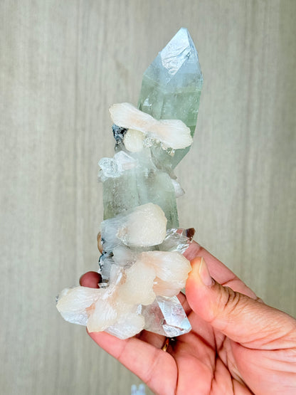 Apophyllite with Stilbite Crystal Specimen – Maharashtra, India | Luminous Zeolite Mineral Cluster - Auralis Crystals