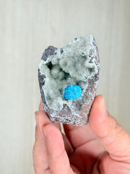 Cavansite Crystal Specimen – Electric Blue Mineral from Maharashtra, India | Rare Collector Stone - Auralis Crystals