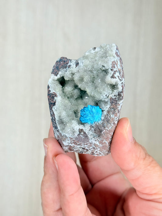 Cavansite Crystal Specimen – Electric Blue Mineral from Maharashtra, India | Rare Collector Stone
