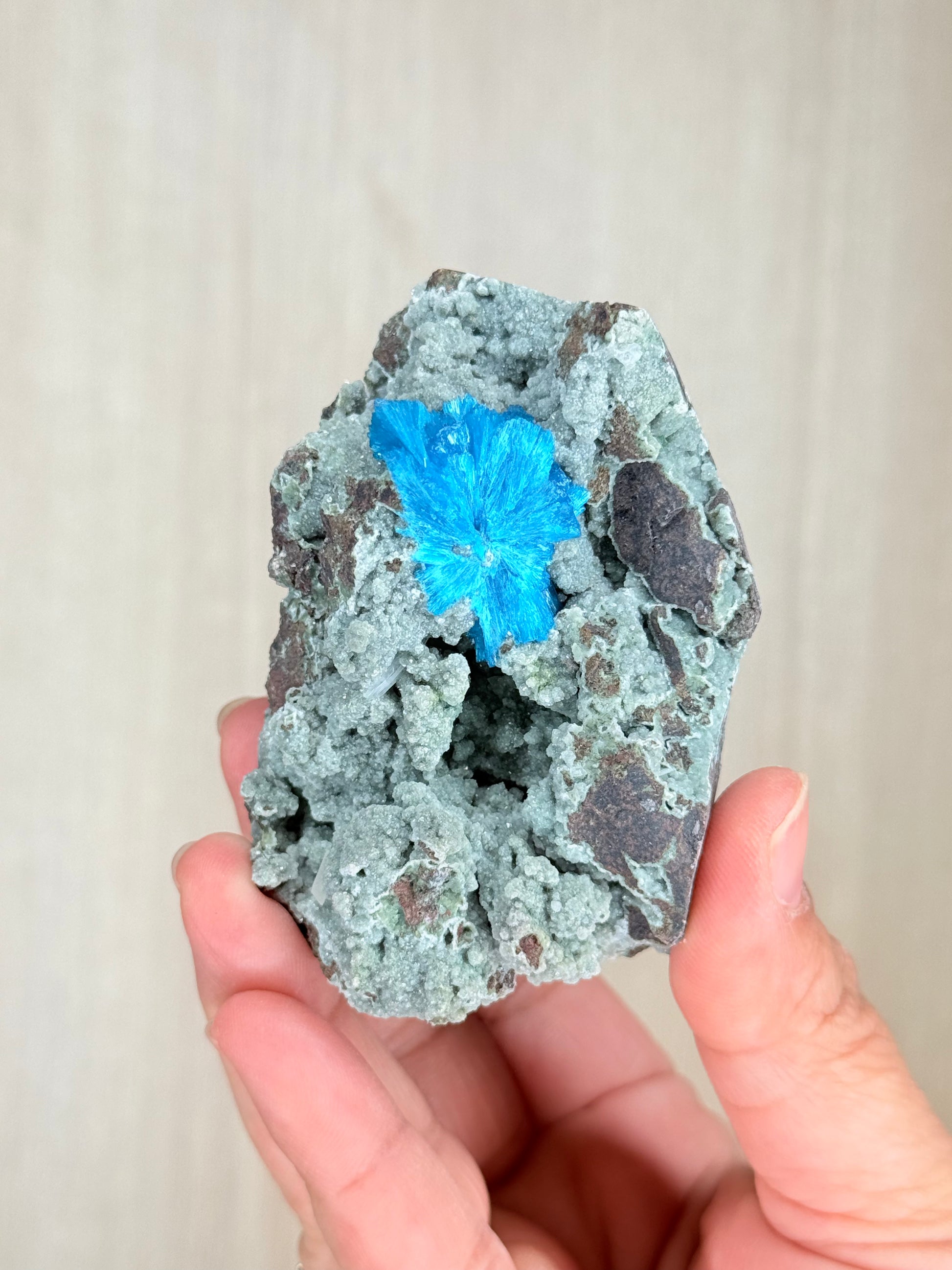 Cavansite Crystal Specimen – Electric Blue Mineral from Maharashtra, India | Rare Collector Stone - Auralis Crystals