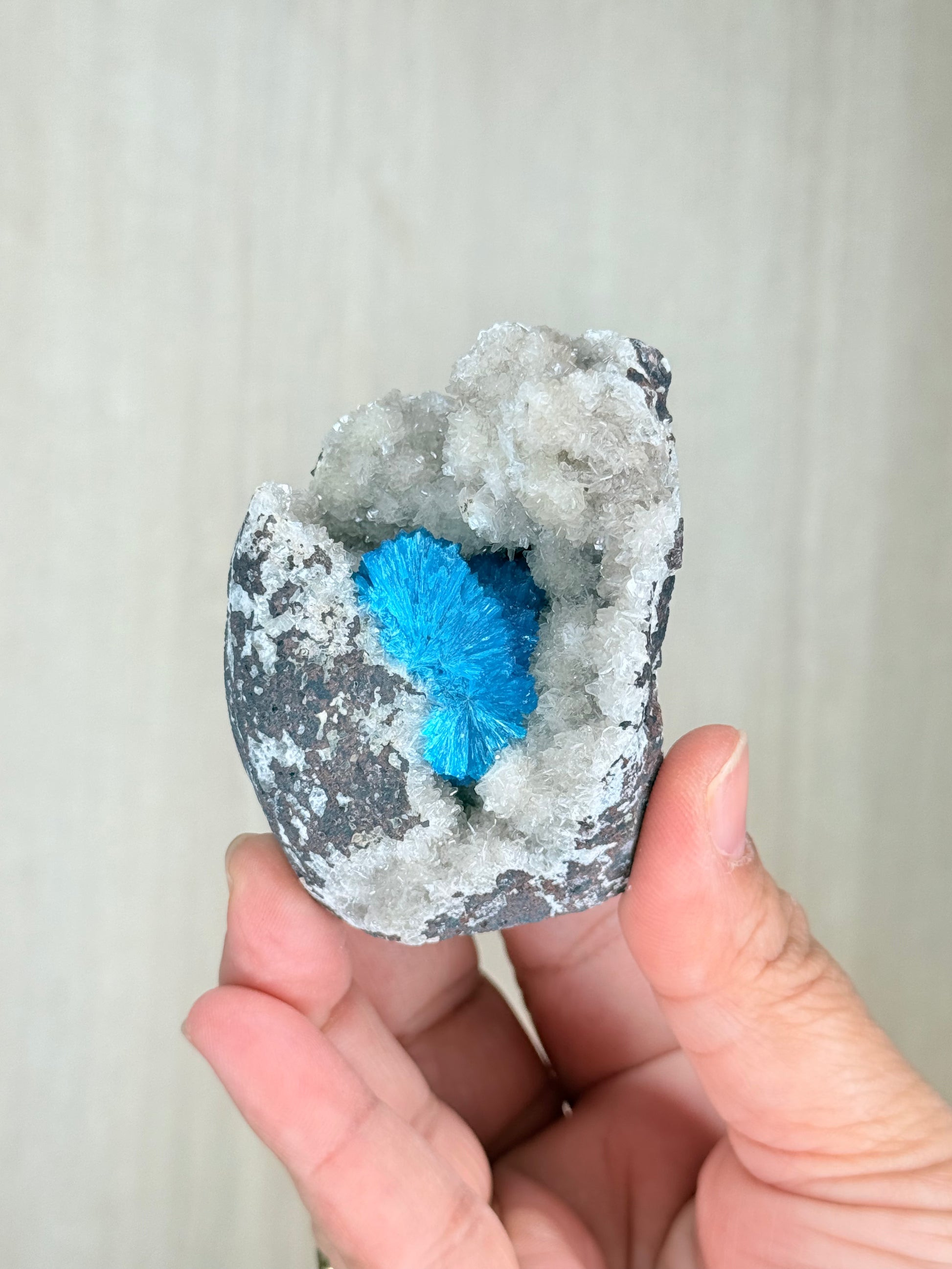 Cavansite Crystal Specimen – Electric Blue Mineral from Maharashtra, India | Rare Collector Stone - Auralis Crystals