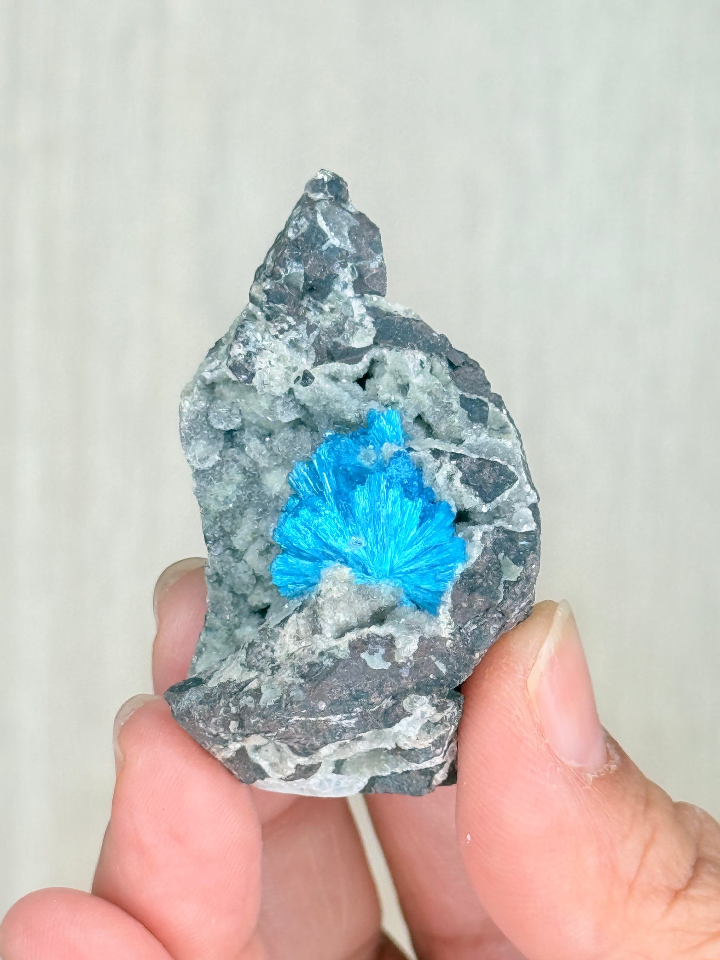 Cavansite Crystal Specimen – Electric Blue Mineral from Maharashtra, India | Rare Collector Stone