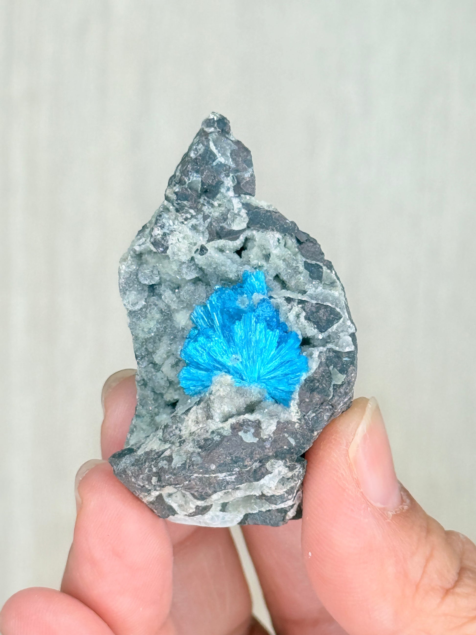 Cavansite Crystal Specimen – Electric Blue Mineral from Maharashtra, India | Rare Collector Stone - Auralis Crystals