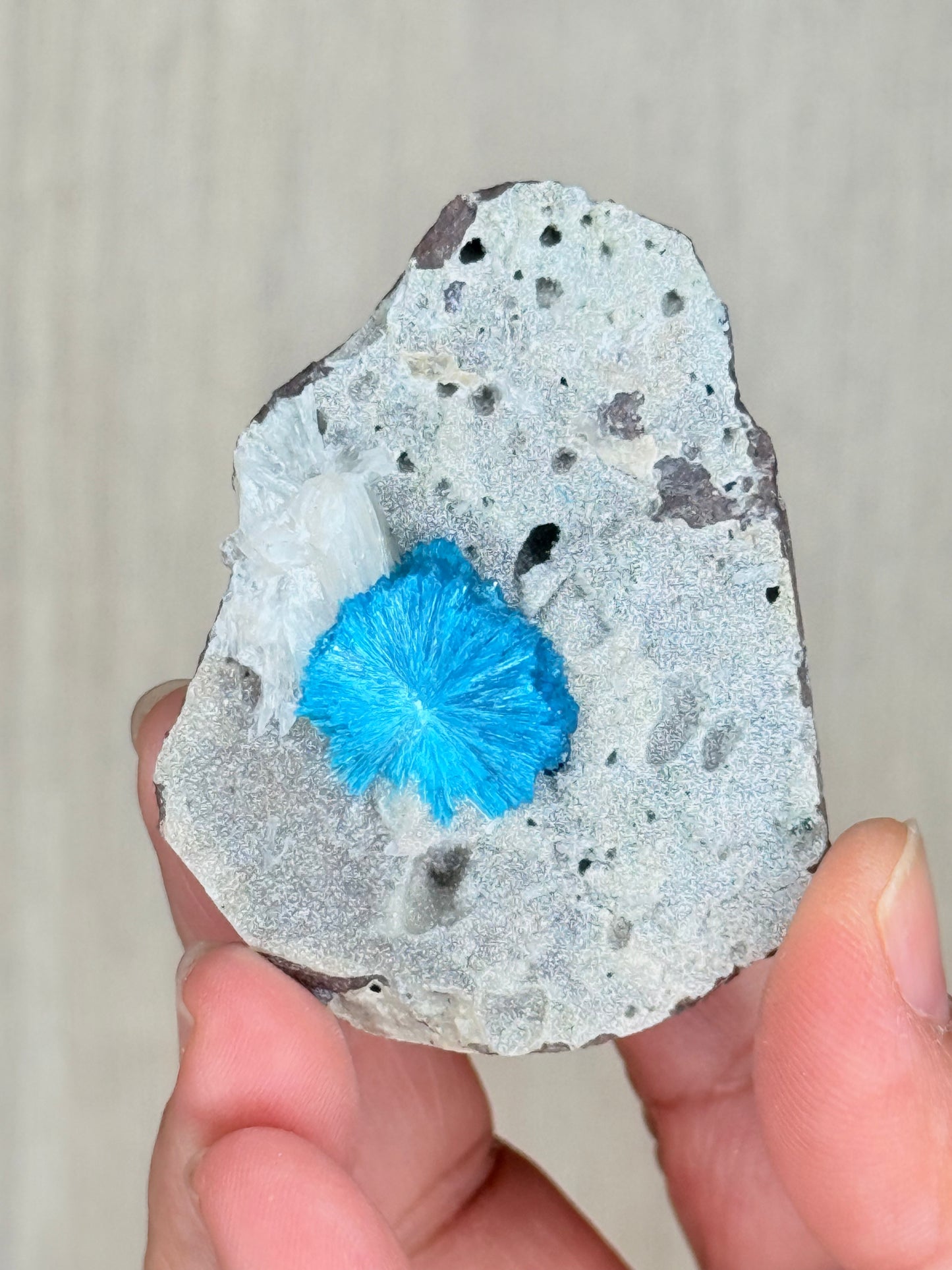 Cavansite Crystal Specimen – Electric Blue Mineral from Maharashtra, India | Rare Collector Stone