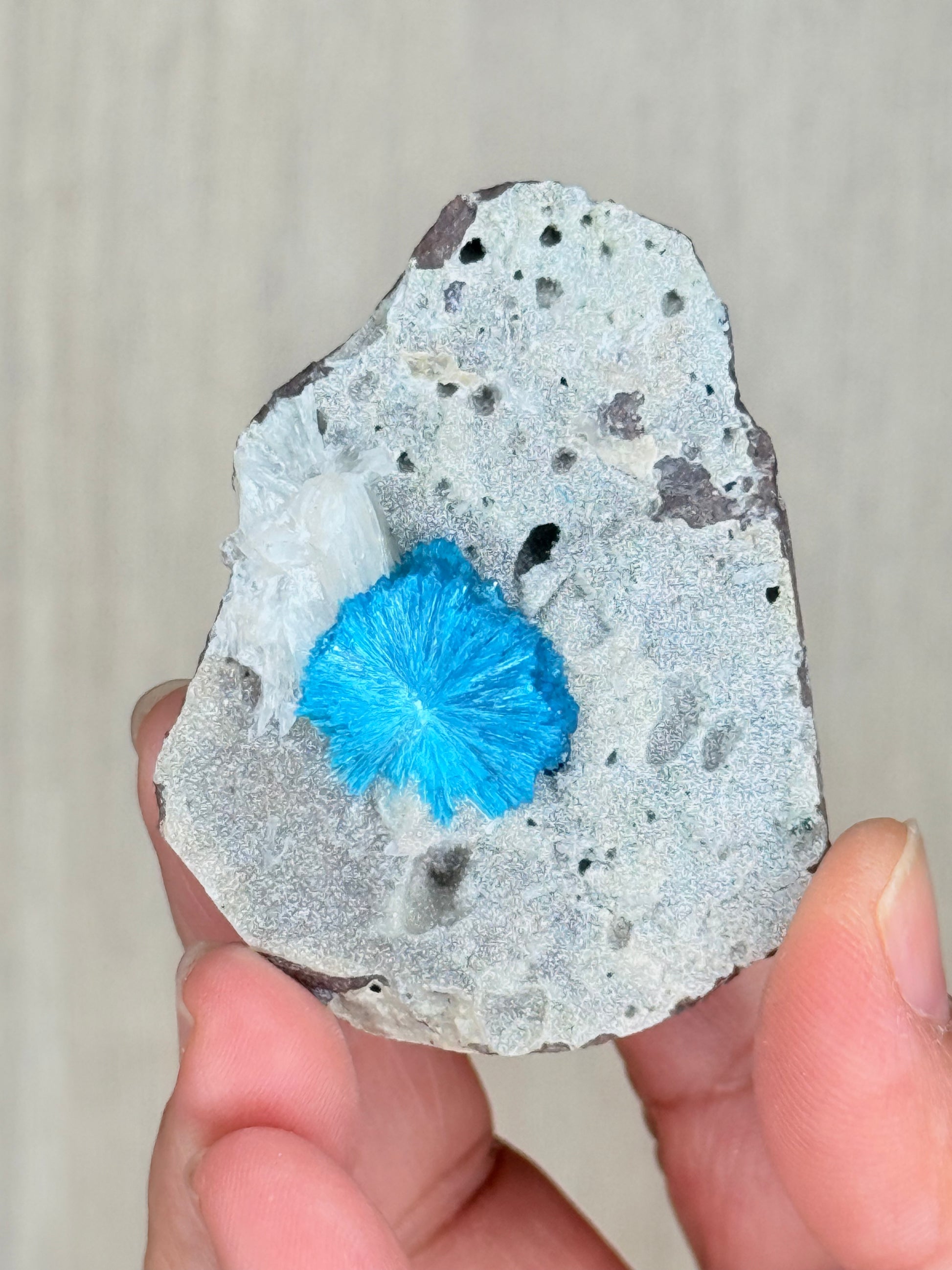 Cavansite Crystal Specimen – Electric Blue Mineral from Maharashtra, India | Rare Collector Stone - Auralis Crystals