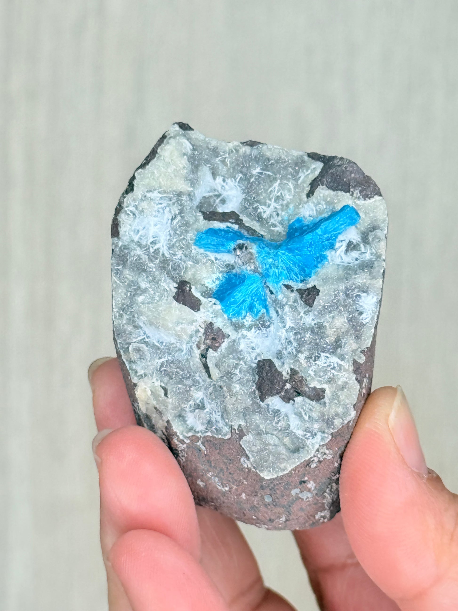 Cavansite Crystal Specimen – Electric Blue Mineral from Maharashtra, India | Rare Collector Stone - Auralis Crystals