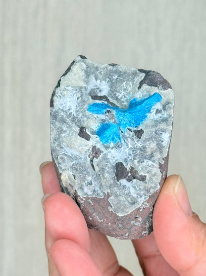 Cavansite Crystal Specimen – Electric Blue Mineral from Maharashtra, India | Rare Collector Stone - Auralis Crystals