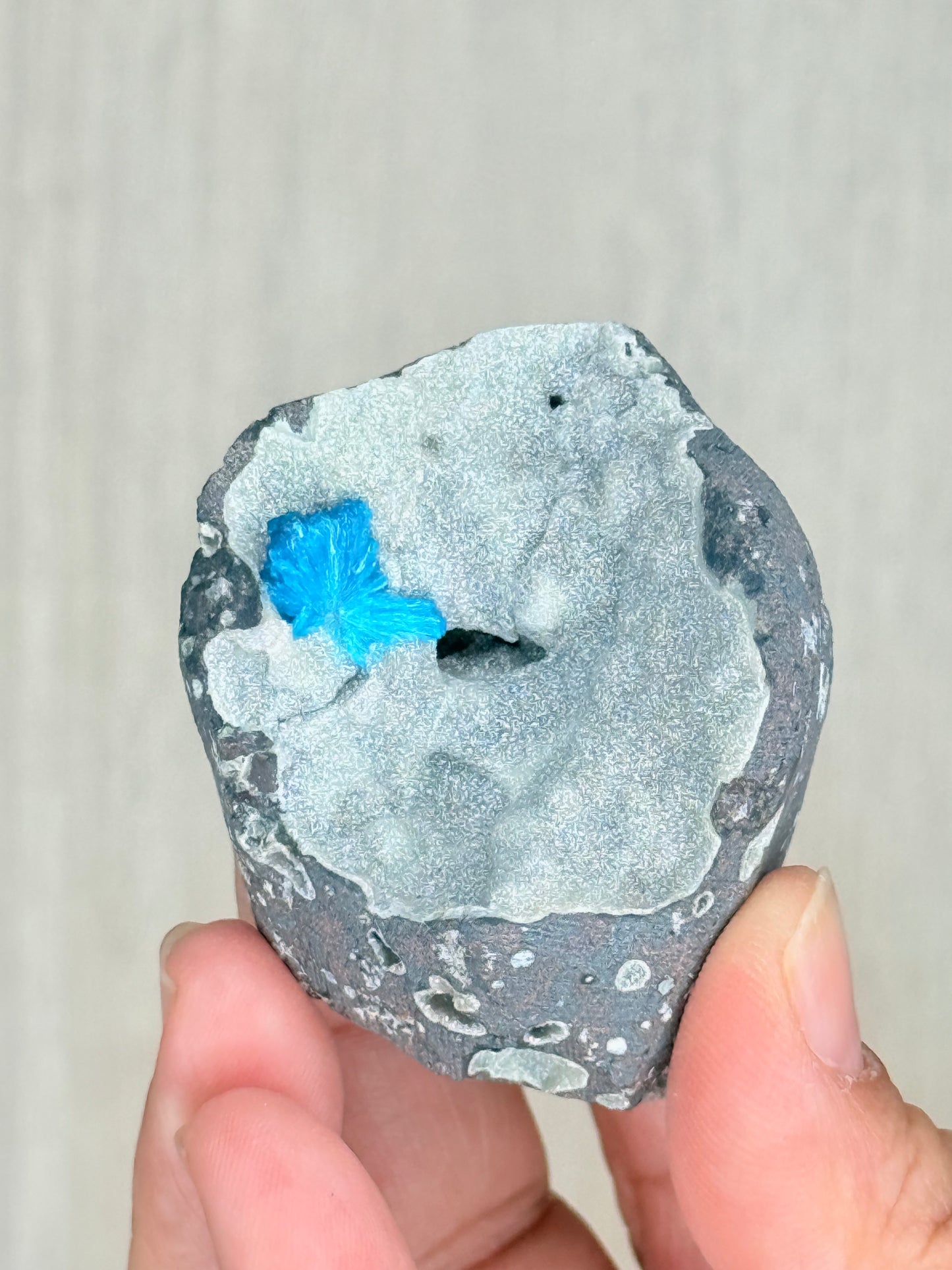Cavansite Crystal Specimen – Electric Blue Mineral from Maharashtra, India | Rare Collector Stone
