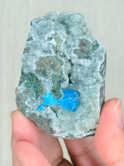 Cavansite Crystal Specimen – Electric Blue Mineral from Maharashtra, India | Rare Collector Stone - Auralis Crystals