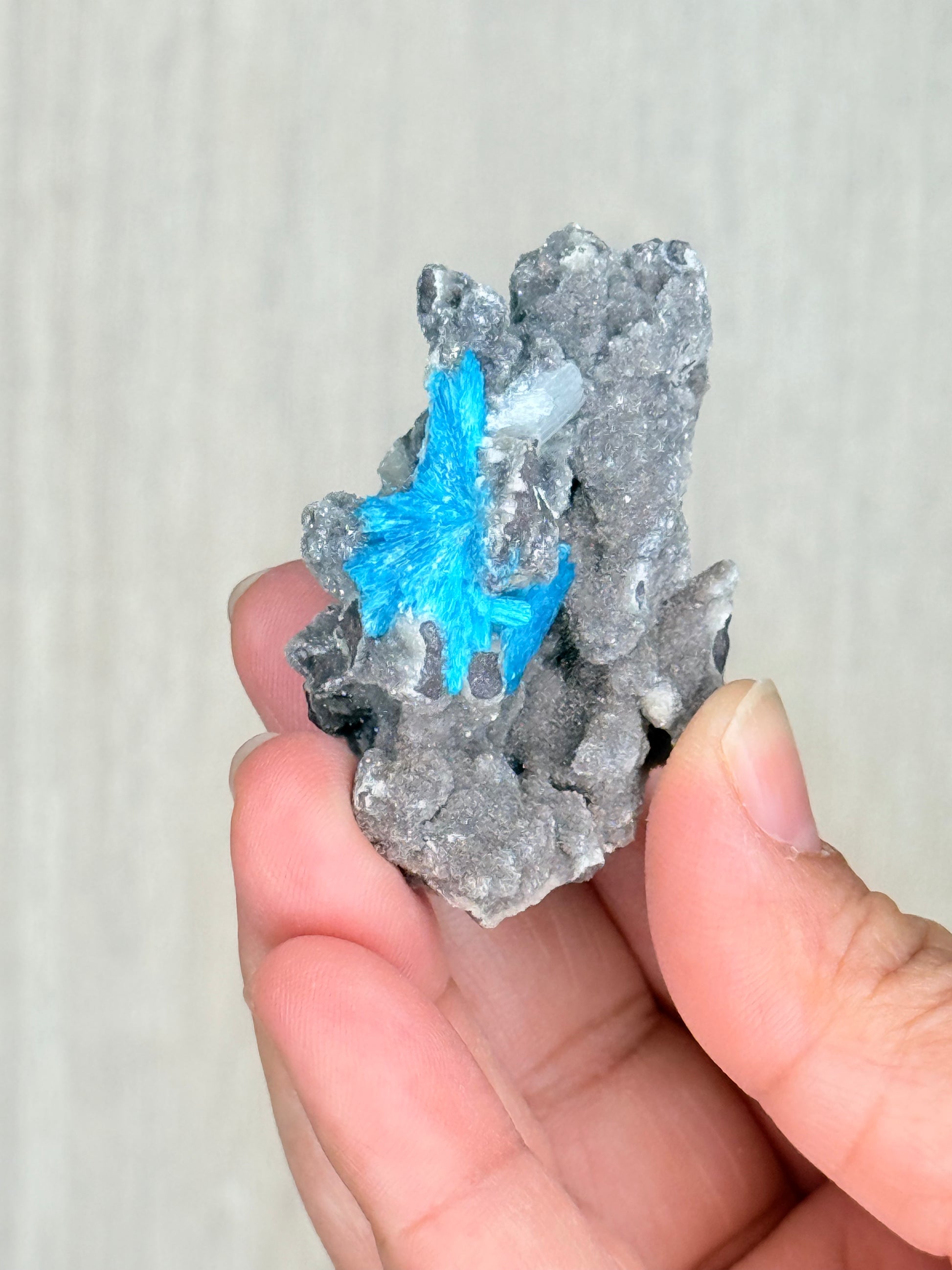 Cavansite Crystal Specimen – Electric Blue Mineral from Maharashtra, India | Rare Collector Stone - Auralis Crystals