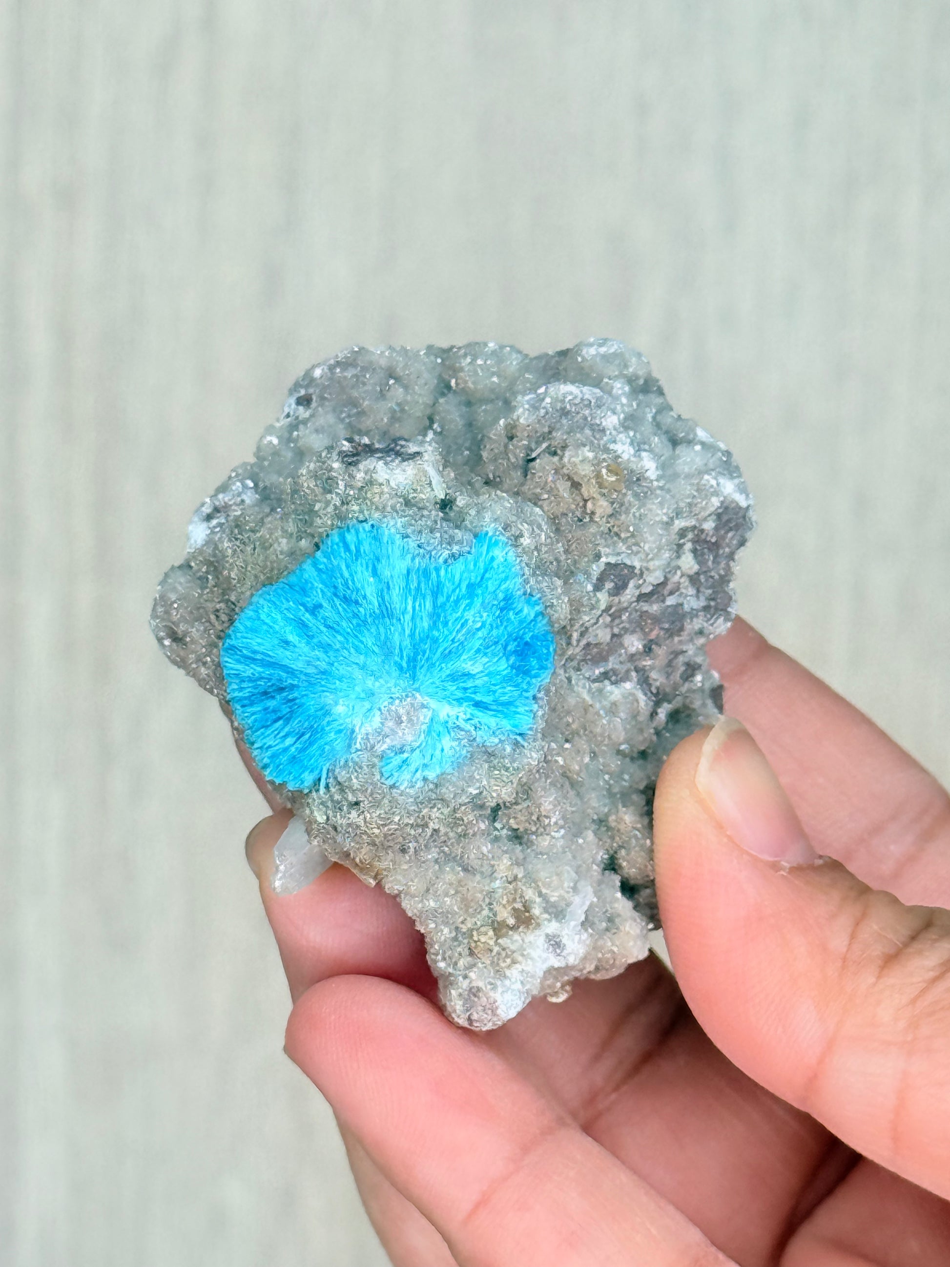 Cavansite Crystal Specimen – Electric Blue Mineral from Maharashtra, India | Rare Collector Stone - Auralis Crystals