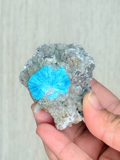 Cavansite Crystal Specimen – Electric Blue Mineral from Maharashtra, India | Rare Collector Stone - Auralis Crystals