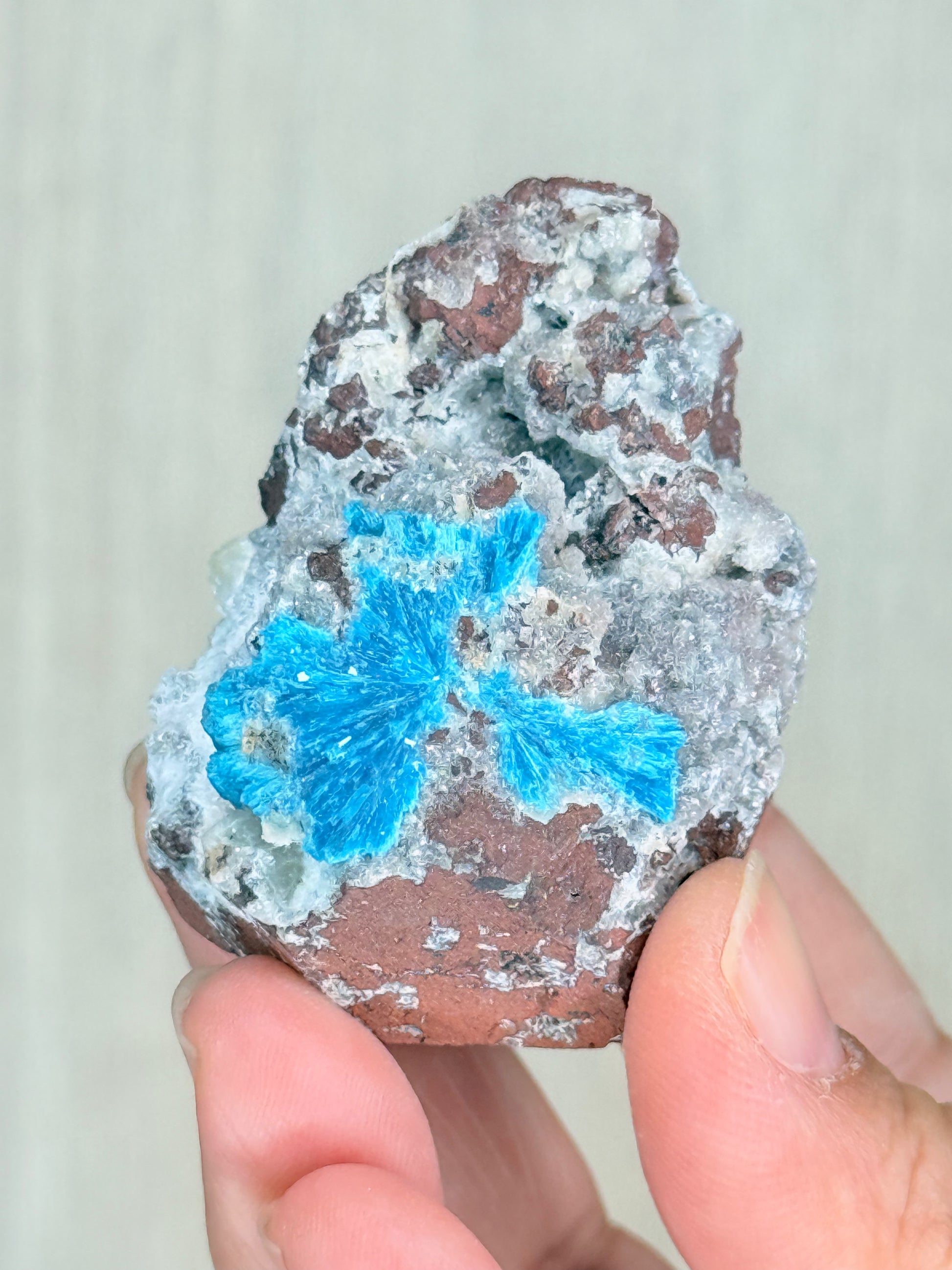 Cavansite Crystal Specimen – Electric Blue Mineral from Maharashtra, India | Rare Collector Stone - Auralis Crystals