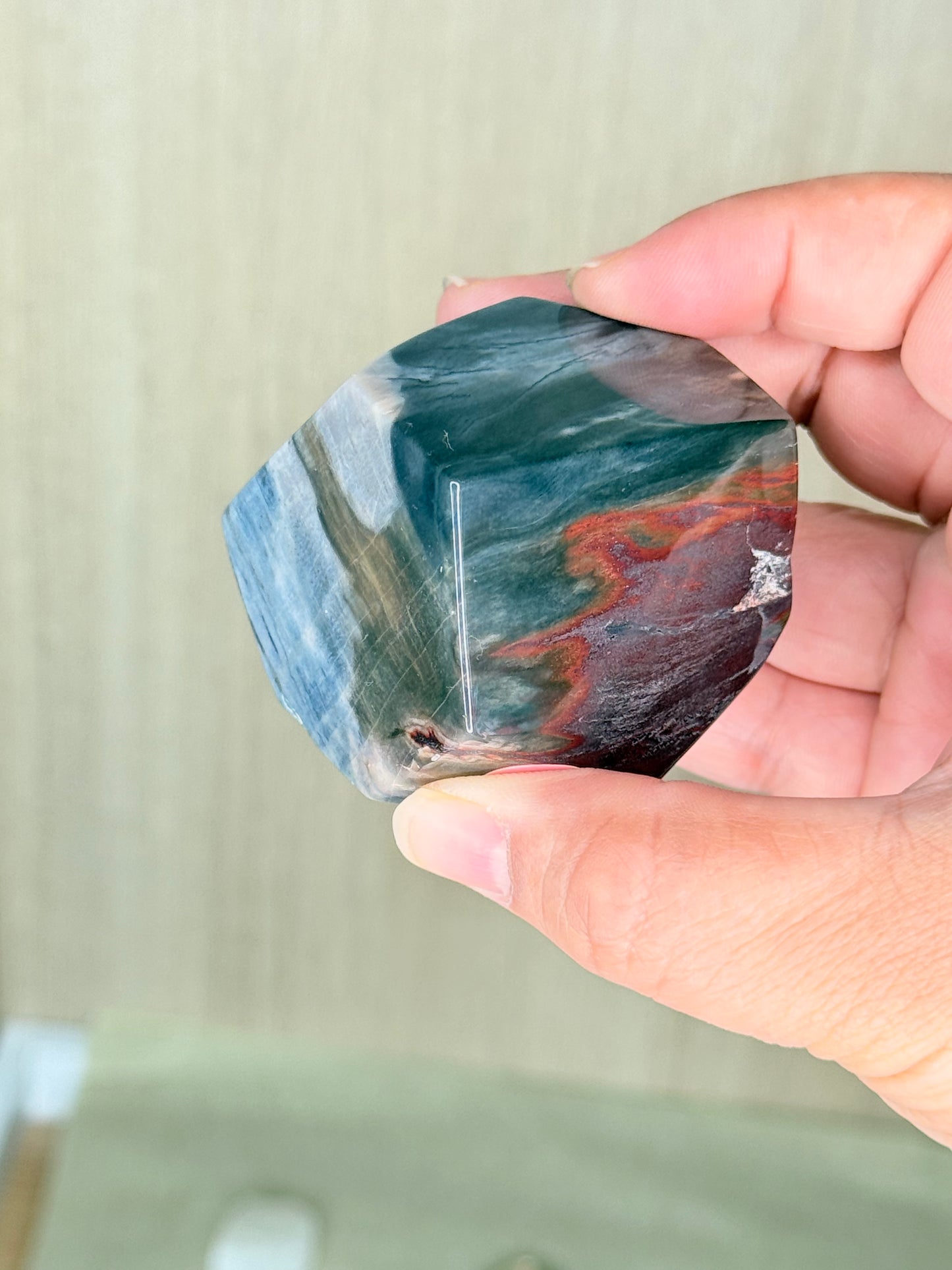 Fossilized Petrified Wood Freeforms