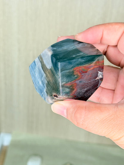 Fossilized Petrified Wood Freeforms - Auralis Crystals