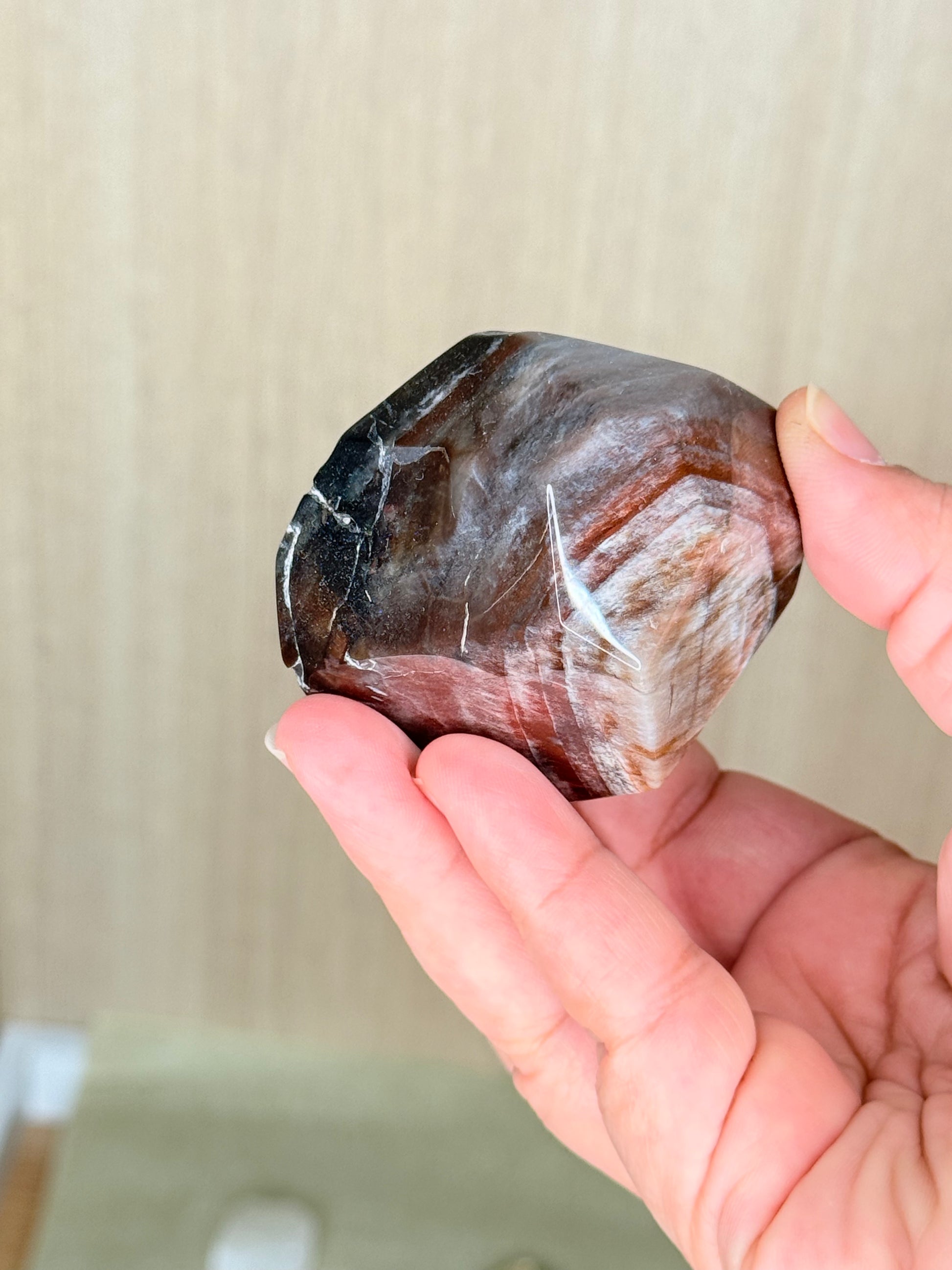 Fossilized Petrified Wood Freeforms - Auralis Crystals
