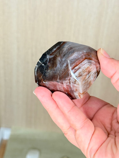 Fossilized Petrified Wood Freeforms - Auralis Crystals