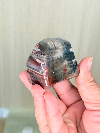 Fossilized Petrified Wood Freeforms - Auralis Crystals