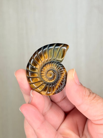 Golden Tiger Eye Fossil Carving (Small) – Mystical Crystal for Protection & Strength - Auralis Crystals