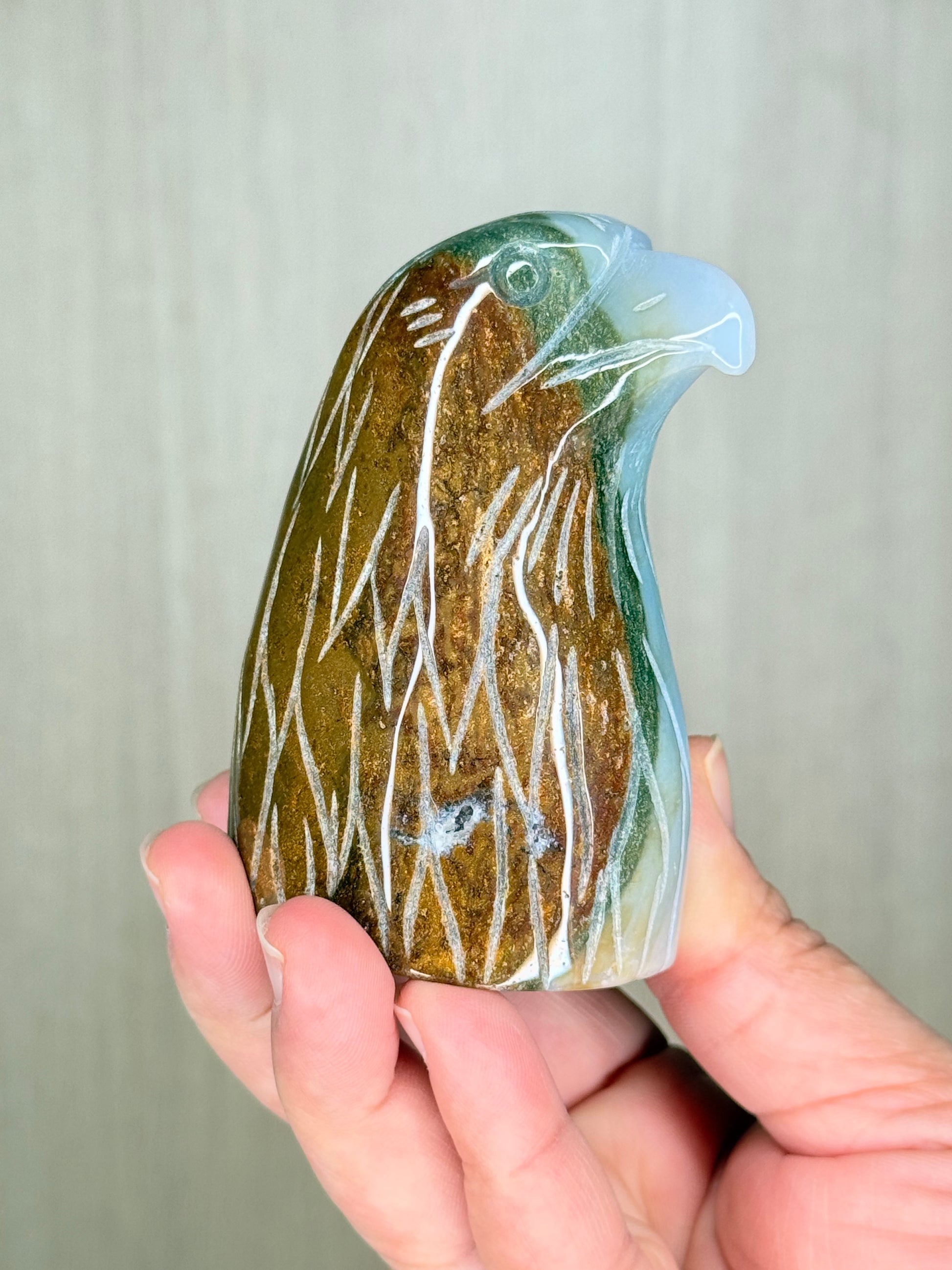 Ocean Jasper Eagle Head Carving – Symbolic Crystal for Insight & Protection - Auralis Crystals