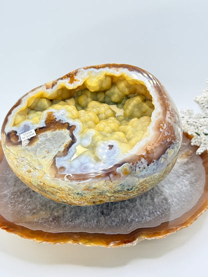 Rare Yellow Grape Agate Geode from Brazil – Unique Botryoidal Crystal - Auralis Crystals