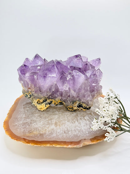 High Quality Brazilian Amethyst Cluster – Natural Crystal Statement Piece