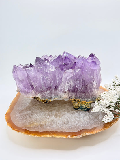 High Quality Brazilian Amethyst Cluster – Natural Crystal Statement Piece