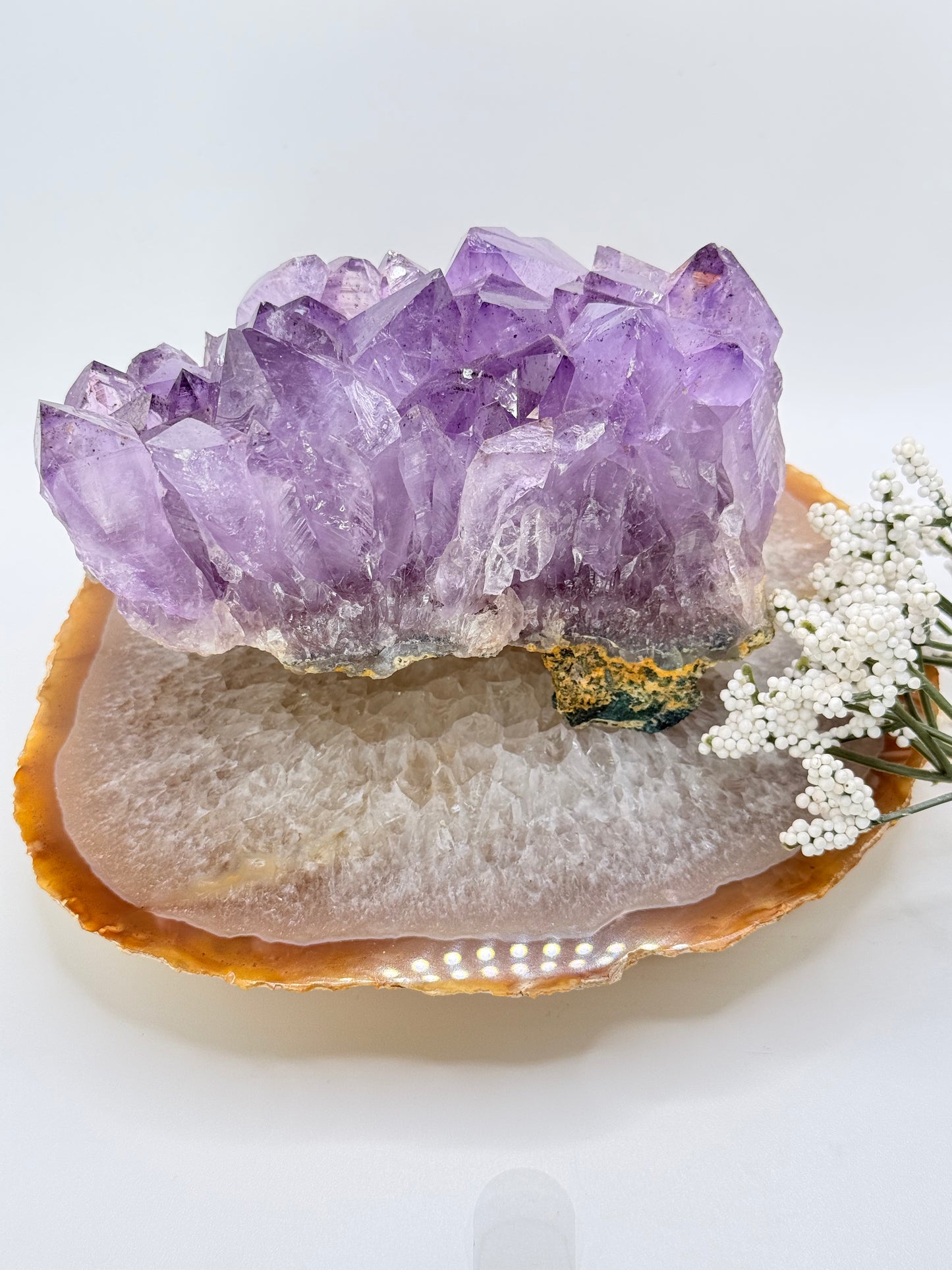 High Quality Brazilian Amethyst Cluster – Natural Crystal Statement Piece